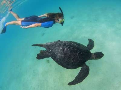 BARTOLOME GALAPAGOS DAY TRIP: snorkeling