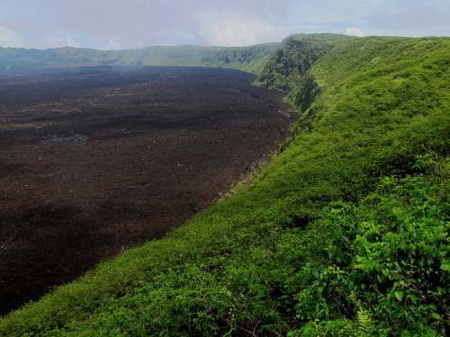 PARQUE NACIONAL GALÁPAGOS, SU FLORA Y FAUNA Y UBICACIÓN: Caldera Sierra Negra en la Isla Isabella.