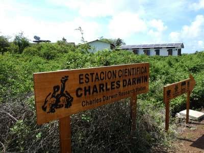 PARQUE NACIONAL GALÁPAGOS, SU FLORA Y FAUNA Y UBICACIÓN: La Estación Biológica Charles Darwin.  