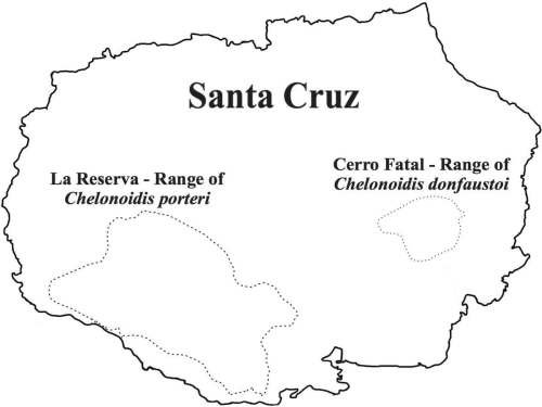 PARQUE NACIONAL GALÁPAGOS, SU FLORA Y FAUNA Y UBICACIÓN: Distribución la tortuga oriental de Santa Cruz, Chelonoidis nigra donfaustoi.