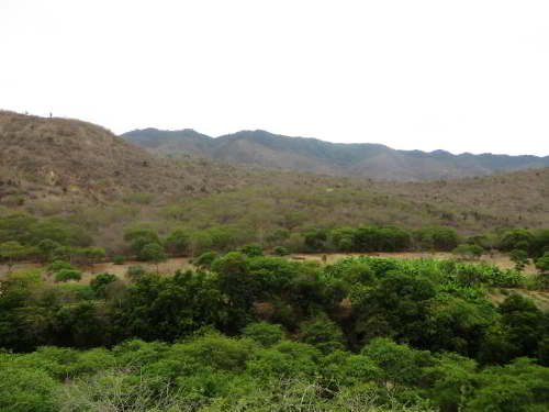 10 MEJORES COSAS A HACER Y VER EN PARQUE NACIONAL MACHALILLA: Bosque de galería.