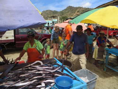 10 MEJORES COSAS A HACER Y VER EN PARQUE NACIONAL MACHALILLA: Puerto López: El mercado de pescado y comerciantes en la playa.
