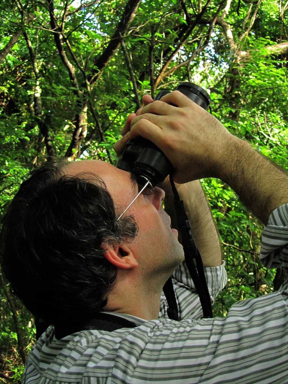 Birding in Cuyabeno Wildlife Reserve