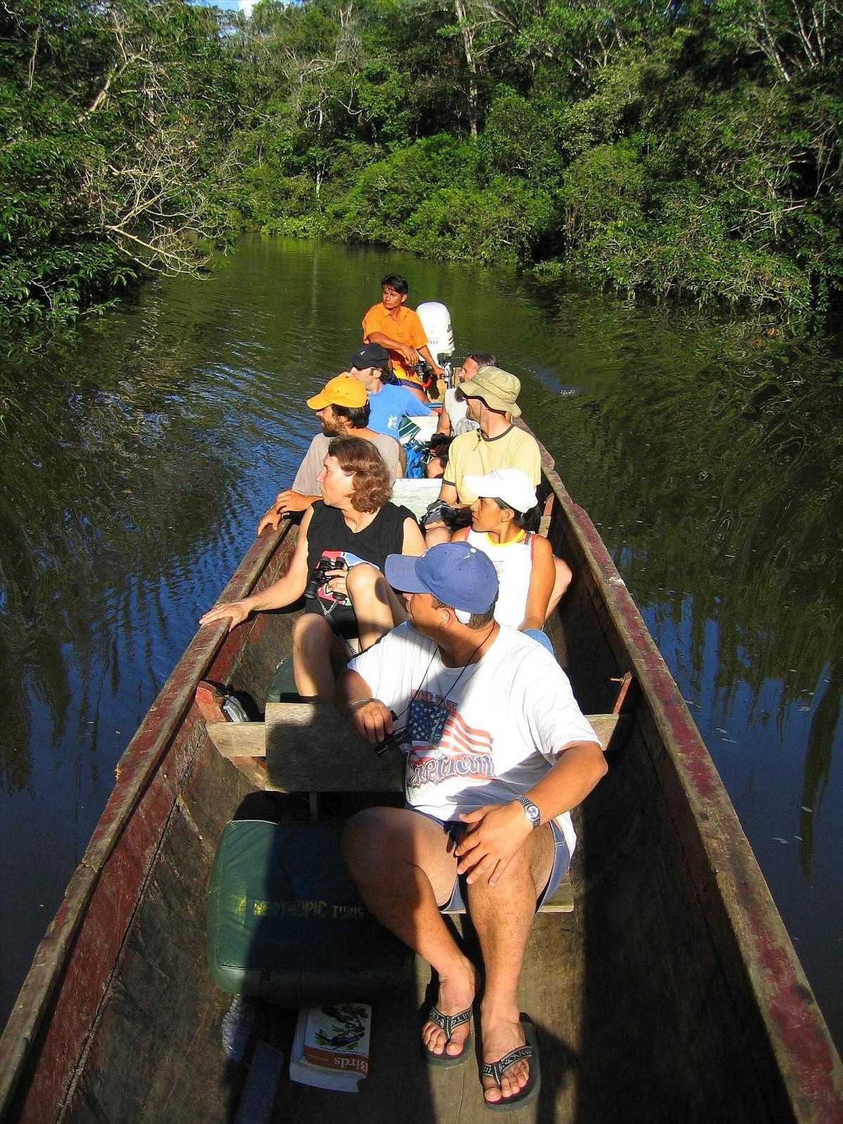Rainforest birding in Cuyabeno